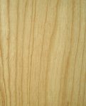 Swamp Ash Guitar Body Blank