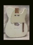 T-Style Body / Alder / 5 lbs. 2 oz. / Nitrocellulose 'Olympic White' / Med. - Hvy. Relic (#GIN-3222) (S)