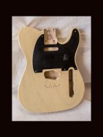 T-Style Body / 1 Piece Light Swamp Ash / 4 lbs. 0 oz. / Nitrocellulose 'Nocaster Blonde' / Light-Med. Relic (#GIN-3394)