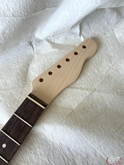 T-Style Replacement Neck / 2 pc. Maple & Indian Rosewood / Classic C / Compound Radius / Bone Nut (#GIN-3466)
