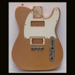 T-Style Body - Partially Assembled - Parts Included! / Swamp Ash / 3 lbs. 14 oz. / Nitrocellulose 'Aged Copper' / Light Relic (#GIN-3819)