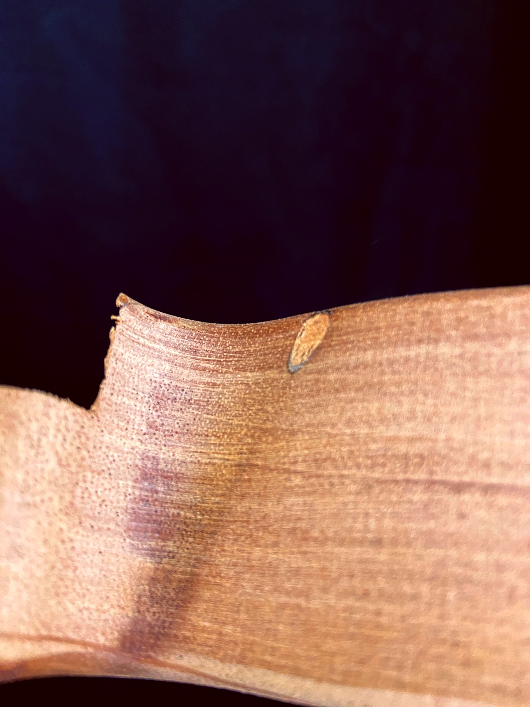T-Style Deluxe Body / 2 pc. Honduran Mahogany / 5 lbs. 10 oz. / Burst Grade (#GIN-4037) - Image 3