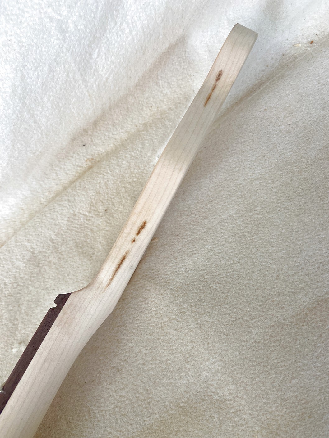T-Style Replacement Neck / 2 pc. Maple & Indian Rosewood / Classic C (#GIN-4084) - Image 4