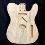 T-Style Body / 1 pc. Swamp Ash (#GIN-4213)